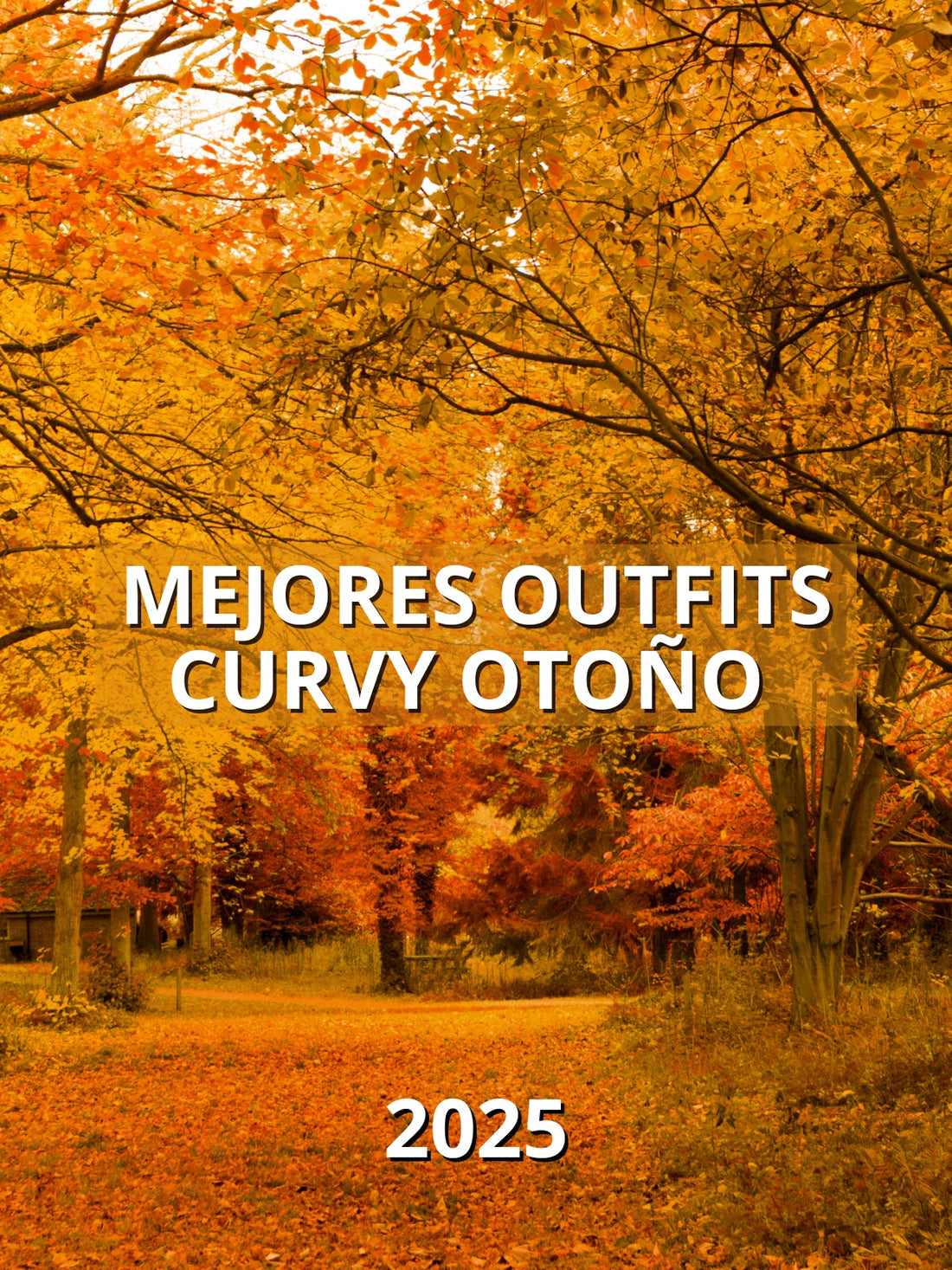 Los mejores Outfits Curvy para Otoño 2025